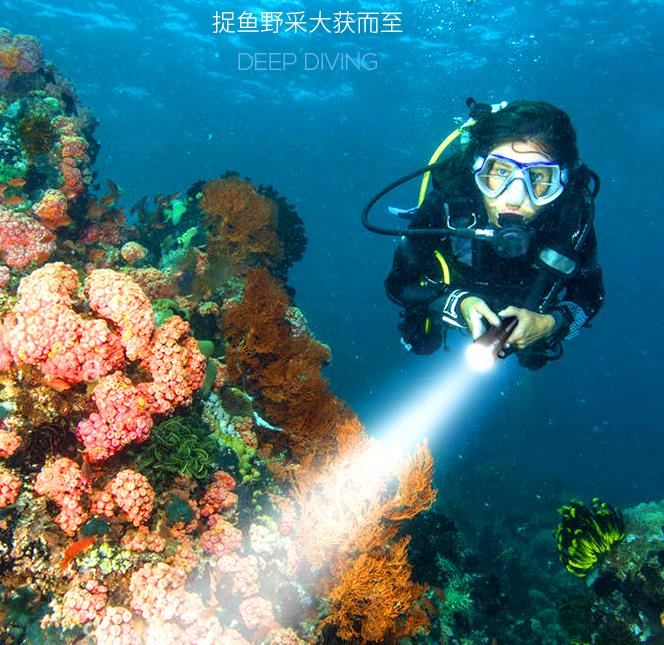 潛水手電筒中霍爾IC的工作原理